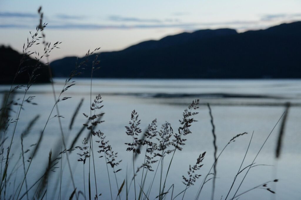 Landscape photo of grasses by a river and a hillside silhouetted at sunset