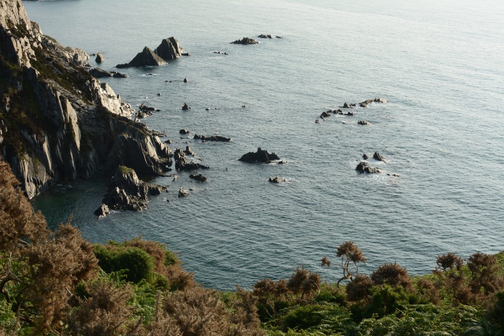 Photo of the sea, with cliffs and rocks in the distance and bracken in the foreground